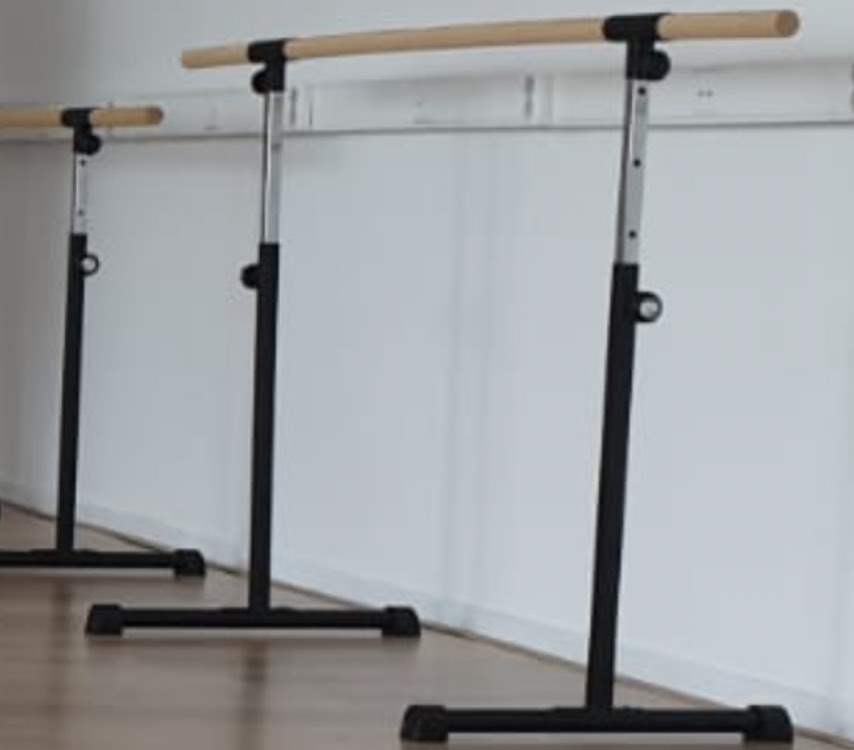 LOTTE FREESTANDING PORTABLE BALLETBARRE