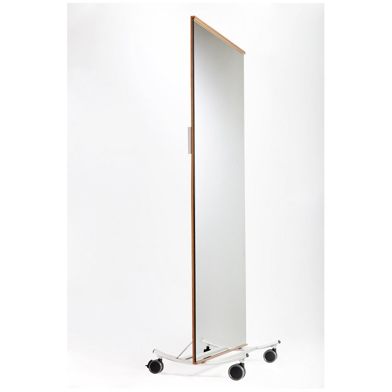 FREESTANDING PORTABLE MIRROR 